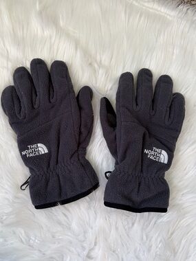 The North Face Men's Etip Heavyweight Fleece Gloves Large